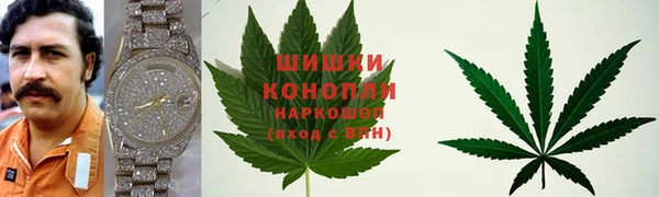 шишки Вяземский