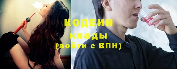 шишки Вяземский