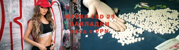 шишки Вяземский