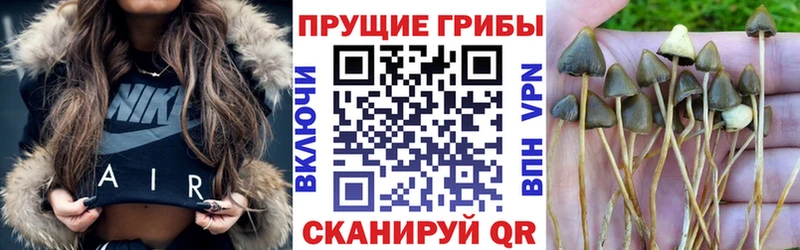 Галлюциногенные грибы прущие грибы  Купить закладки  Алдан 