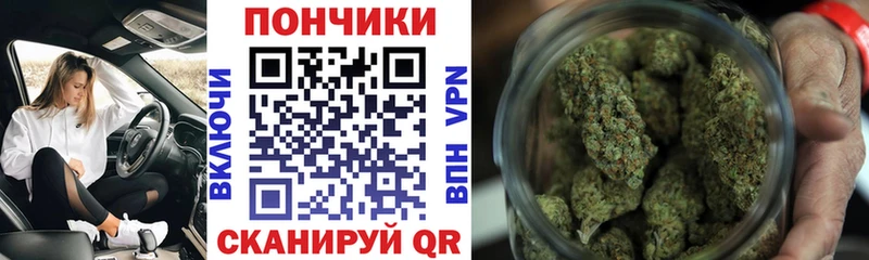 Купить где  Алдан  Конопля марихуана 